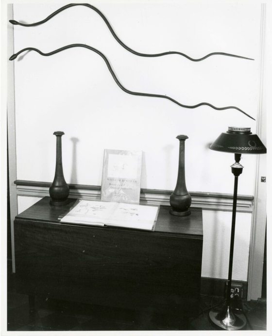 A black and white image of two long black iron snakes hanging on a wall. 